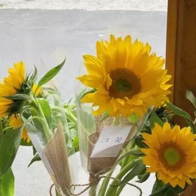 新manbetx-万博全站